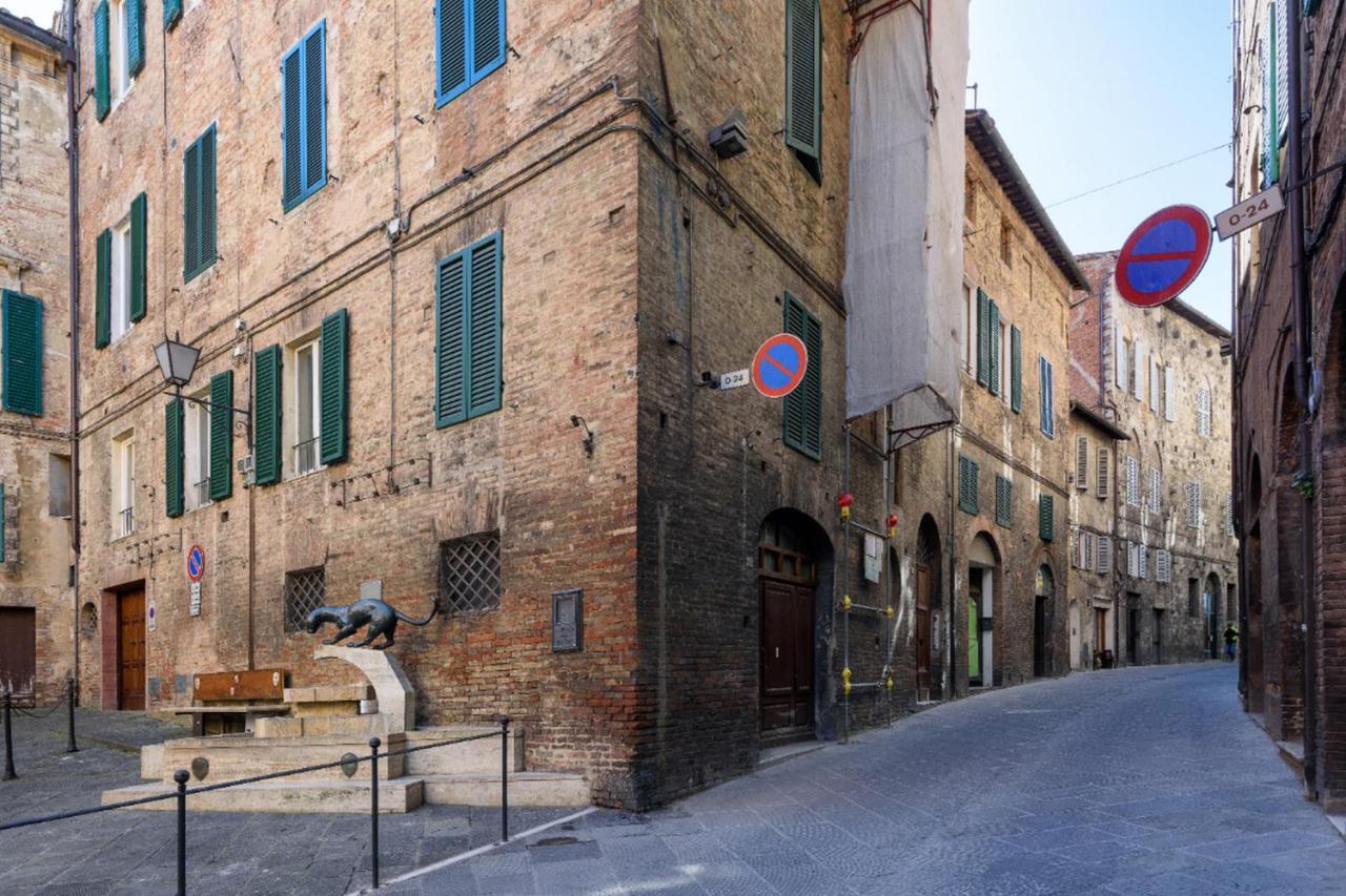 Piazza Paradiso Accommodation Siena Exteriér fotografie